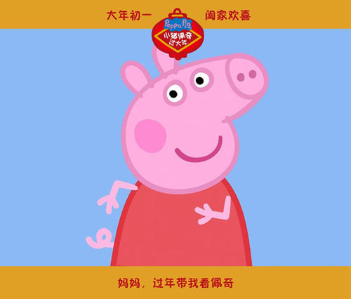 北爱尔兰假的多少钱